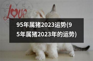 95年属猪2025运势(95年属猪2025年的运势)