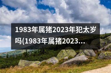 1983年属猪2025年犯太岁吗(1983年属猪2025年运势)