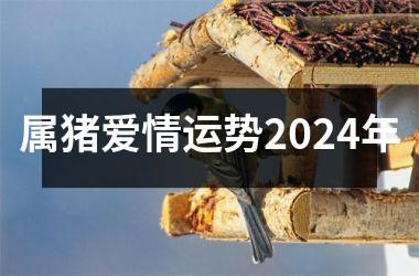 <h3>属猪爱情运势2024年