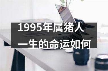 1995年属猪人一生的命运如何