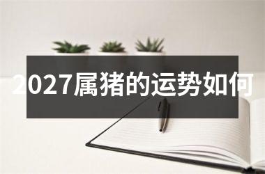 2027属猪的运势如何