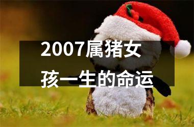 2007属猪女孩一生的命运