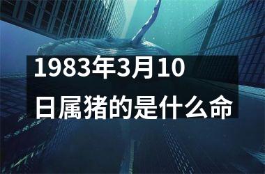 1983年3月10日属猪的是什么命