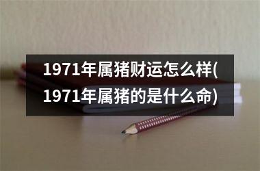 <h3>1971年属猪财运怎么样(1971年属猪的是什么命)