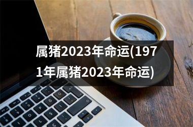 属猪2025年命运(1971年属猪2025年命运)