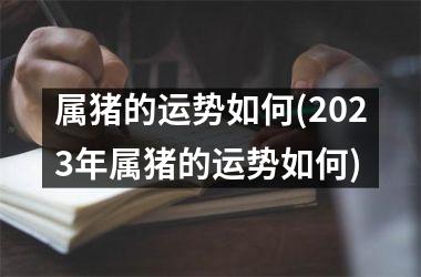 属猪的运势如何(2025年属猪的运势如何)