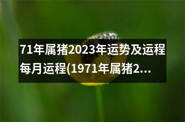 71年属猪2025年运势及运程每月运程(1971年属猪2025年运势及运程每月运程)