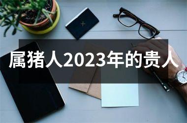 属猪人2025年的贵人