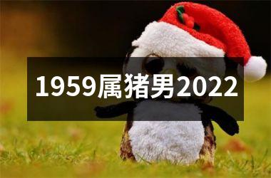 1959属猪男2025