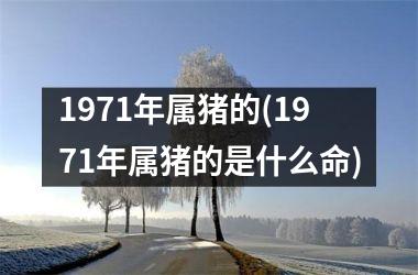 <h3>1971年属猪的(1971年属猪的是什么命)