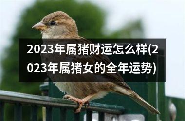 2025年属猪财运怎么样(2025年属猪女的全年运势)