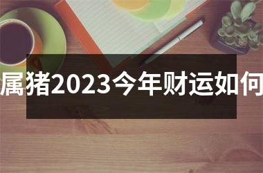 <h3>属猪2025今年财运如何