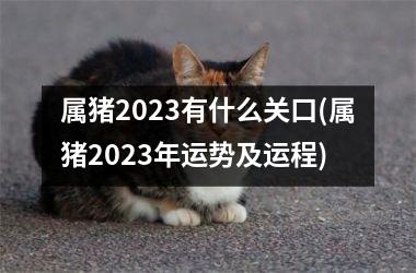 属猪2025有什么关口(属猪2025年运势及运程)