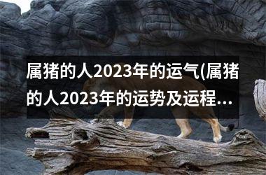 属猪的人2025年的运气(属猪的人2025年的运势及运程详解)