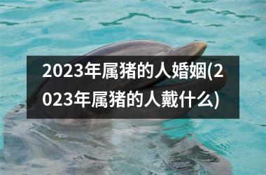 2025年属猪的人婚姻(2025年属猪的人戴什么)