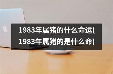 <h3>1983年属猪的什么命运(1983年属猪的是什么命)