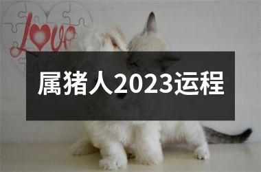 属猪人2025运程