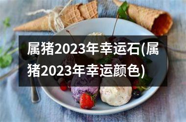 属猪2025年幸运石(属猪2025年幸运颜色)