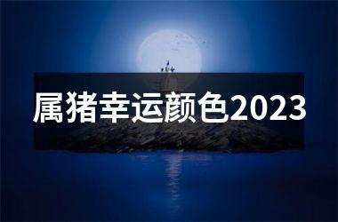 <h3>属猪幸运颜色2025