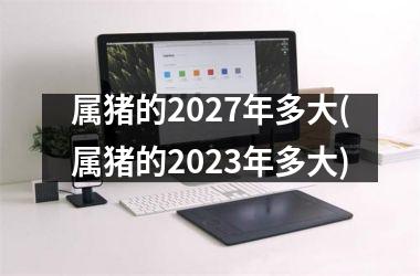 属猪的2027年多大(属猪的2025年多大)