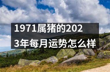 1971属猪的2025年每月运势怎么样