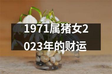 1971属猪女2025年的财运