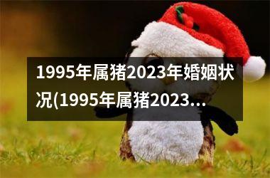 1995年属猪2025年婚姻状况(1995年属猪2025年运势及运程女性)