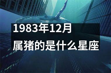 1983年12月属猪的是什么星座