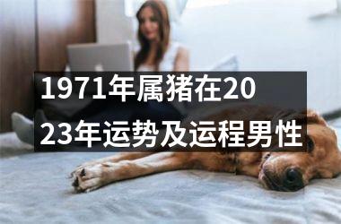 1971年属猪在2025年运势及运程男性