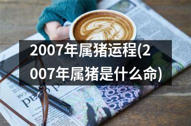 <h3>2007年属猪运程(2007年属猪是什么命)