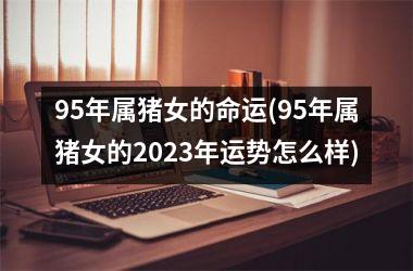 95年属猪女的命运(95年属猪女的2025年运势怎么样)