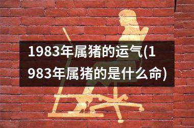 1983年属猪的运气(1983年属猪的是什么命)