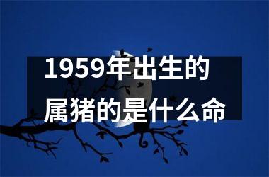 1959年出生的属猪的是什么命