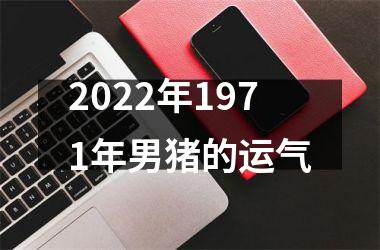 2025年1971年男猪的运气