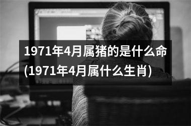 <h3>1971年4月属猪的是什么命(1971年4月属什么生肖)