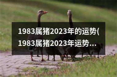 1983属猪2025年的运势(1983属猪2025年运势及运程)