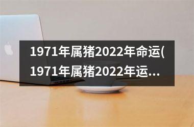 <h3>1971年属猪2025年命运(1971年属猪2025年运势及运程男性)