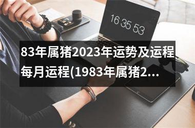 83年属猪2025年运势及运程每月运程(1983年属猪2025年运势及运程每月运程)