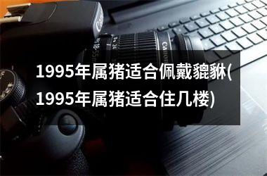 1995年属猪适合佩戴貔貅(1995年属猪适合住几楼)