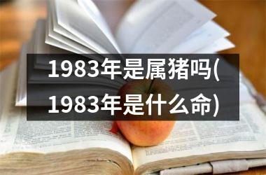 <h3>1983年是属猪吗(1983年是什么命)