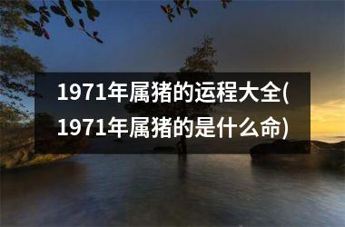 <h3>1971年属猪的运程大全(1971年属猪的是什么命)