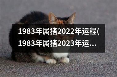 1983年属猪2025年运程(1983年属猪2025年运势)