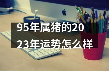 95年属猪的2025年运势怎么样