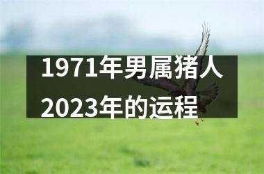 <h3>1971年男属猪人2025年的运程