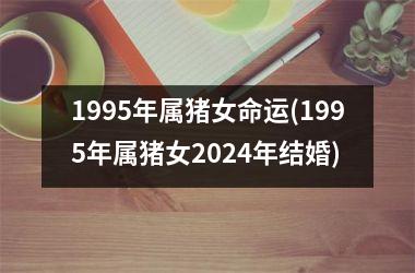 1995年属猪女命运(1995年属猪女2024年结婚)