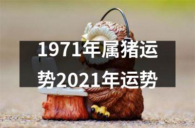 <h3>1971年属猪运势2025年运势