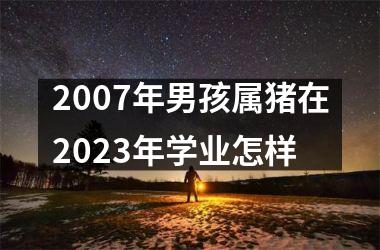 2007年男孩属猪在2025年学业怎样