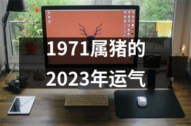 1971属猪的2025年运气