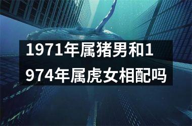 1971年属猪男和1974年属虎女相配吗