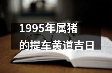 1995年属猪的提车黄道吉日